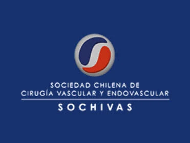 Sochivas · Landing — captura del portafolio original
